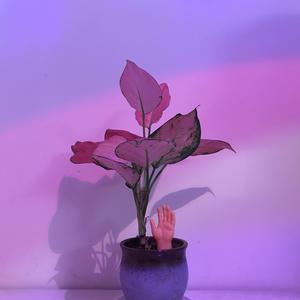 国产做爱高潮69
